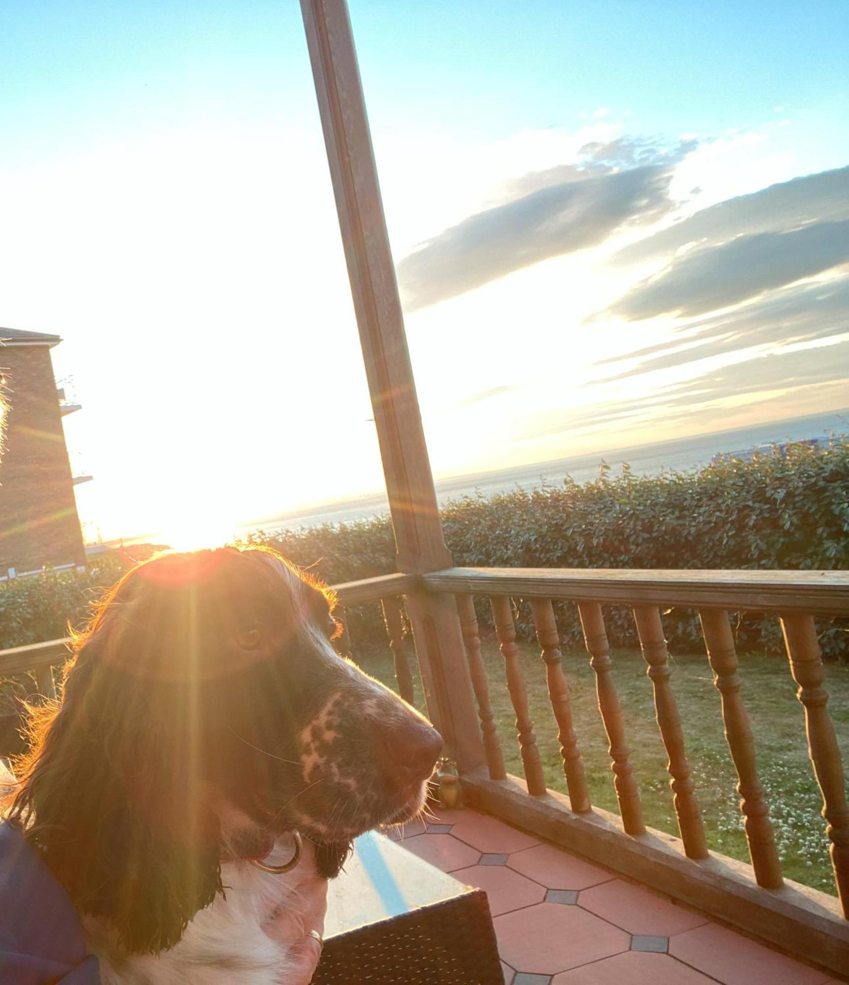 Sea Forever Oceanfront Home Perfectly Saltburn المظهر الخارجي الصورة