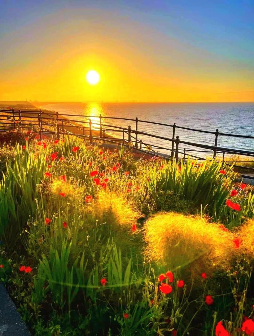 Sea Forever Oceanfront Home Perfectly Saltburn المظهر الخارجي الصورة