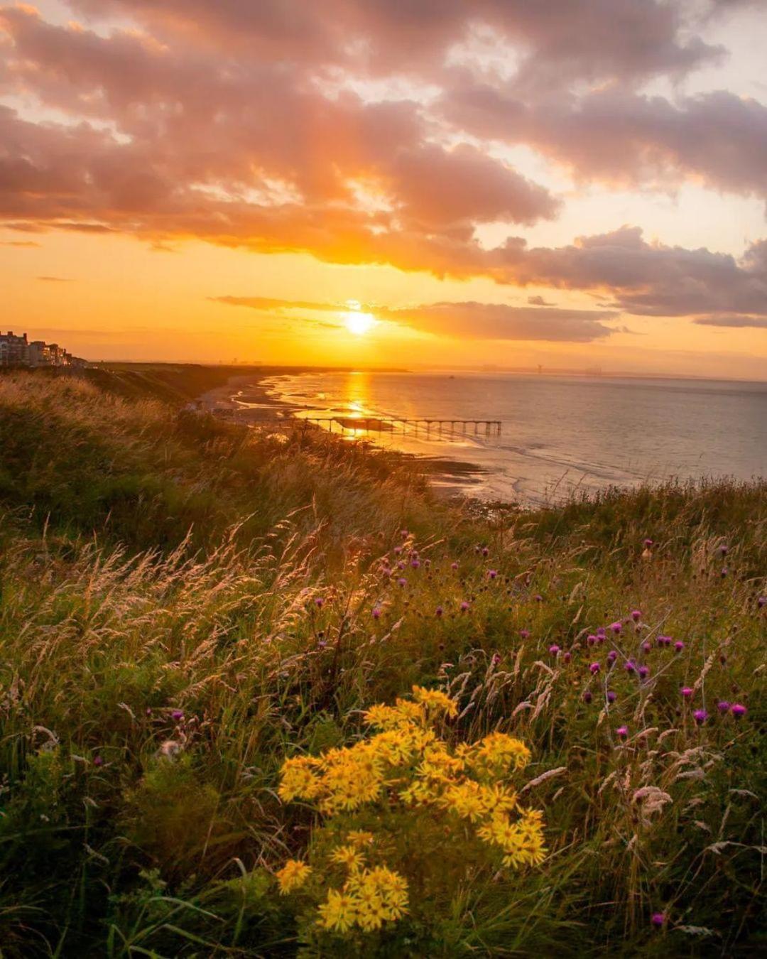 Sea Forever Oceanfront Home Perfectly Saltburn المظهر الخارجي الصورة